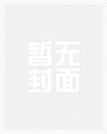 婚后再心动许南歌霍北宴